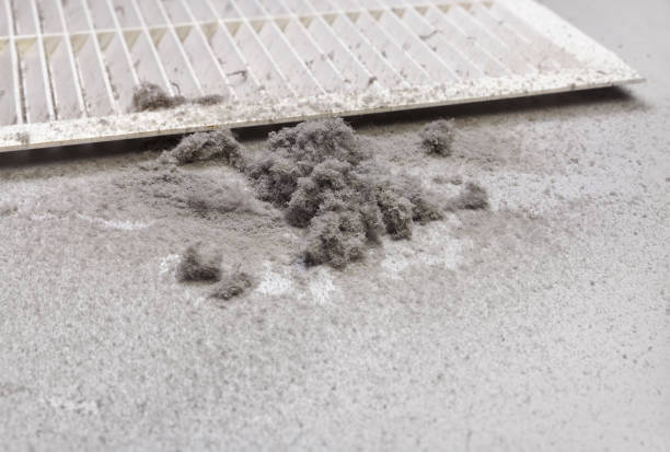 Best Professional Duct Cleaning Services  in Skokie, IL