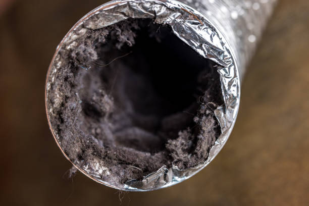Best Duct Cleaning Specialists  in Skokie, IL